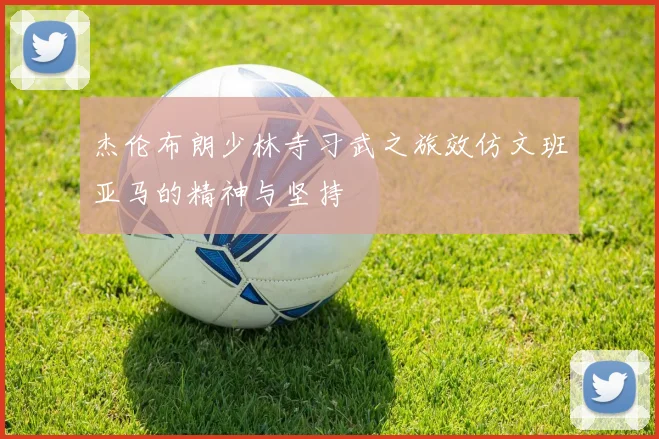 杰伦布朗少林寺习武之旅效仿文班亚马的精神与坚持