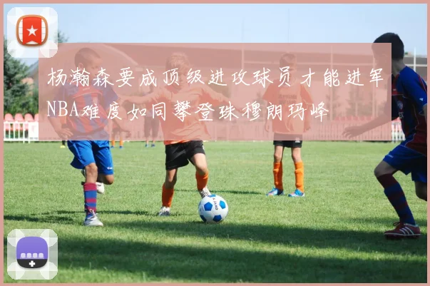 杨瀚森要成顶级进攻球员才能进军NBA难度如同攀登珠穆朗玛峰